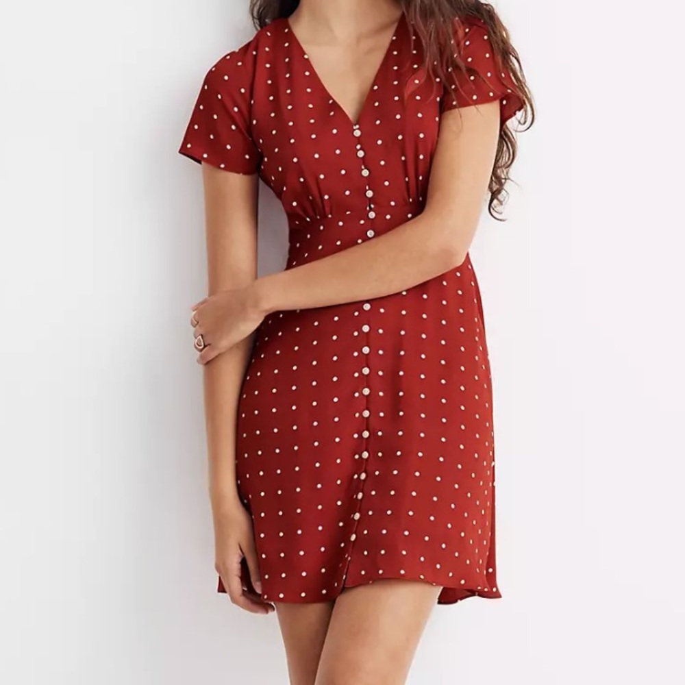 Madewell Button Front Swing Dress in Grid Dot
